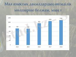 C:\Users\Zhamal-Apa\Downloads\м1.jpg