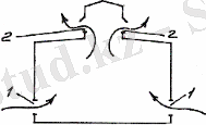 https://studfile.net/html/2706/393/html_Eqd7FsmHeo._mVJ/img-7iecpr.png