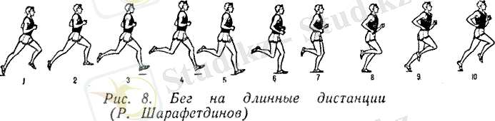 http://fitness-for-man.com/wp-content/uploads/2018/01/66ab866a7889f665c5a68fa22fd7e8a4.gif