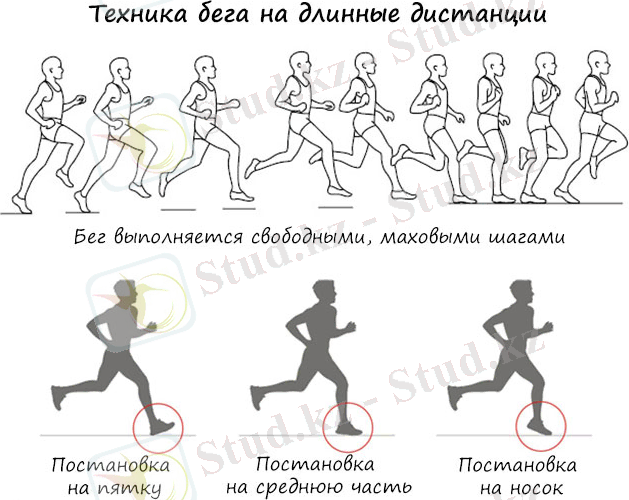 https://okardio.com/wp-content/uploads/2017/04/245-04.jpg