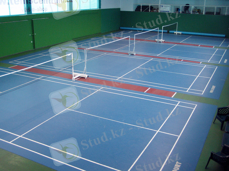 https://www.clubclassic.cz/img/badminton.jpg