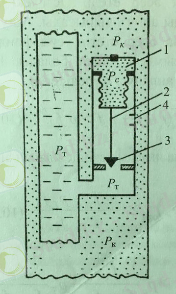 NHopb7WfNk0