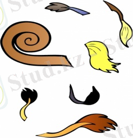 http://img1.liveinternet.ru/images/foto/c/0/apps/4/296/4296825_hvostiki.jpg