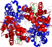 https://upload.wikimedia.org/wikipedia/commons/thumb/3/3d/1GZX_Haemoglobin.png/200px-1GZX_Haemoglobin.png