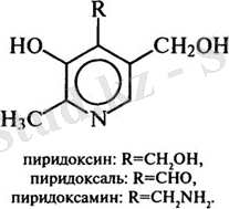 http://www.edulib.ru/storage.aspx/HTML/001/001/B3465/img/B3465p255-1.jpg