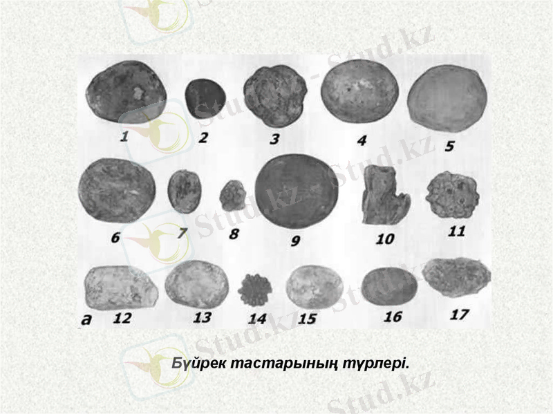 https://cf.ppt-online.org/files/slide/x/xz36RN4KUbBpvma0wOTVEAGWrye5dP9oDnX8Hl/slide-28.jpg