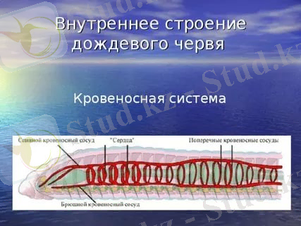 https://im0-tub-kz.yandex.net/i?id=1f54e5acee0a702e172a52dc6899bcef&n=13