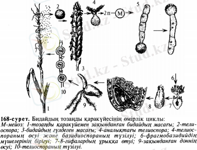 C:\Users\Aidos\AppData\Local\Microsoft\Windows\INetCache\Content.Word\20200424_020547.jpg