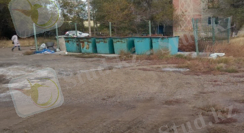 20201004_151958.jpg