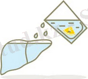 https://pechen.kz/-/media/EMS/Conditions/Consumer%20Healthcare/Brands/Essentiale-KZ/articles/funkcii-pecheni/img02.jpg?la=kk-KZ&hash=ADFE39EB07653F027773407CAA21A1393F028829