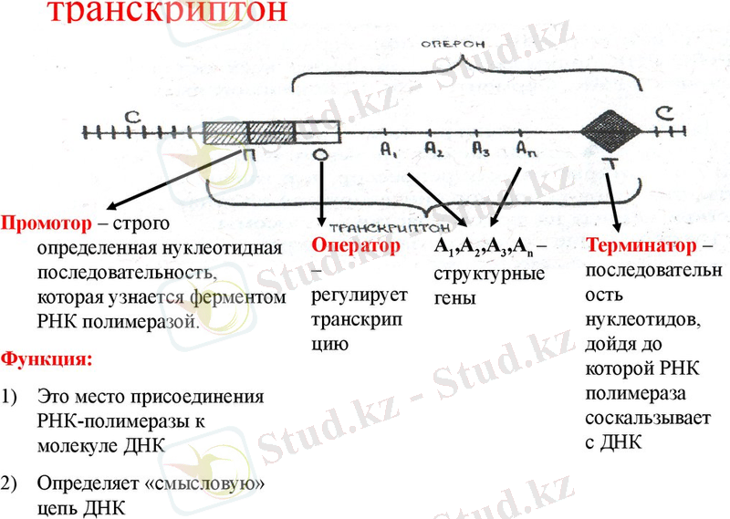 https://cf.ppt-online.org/files/slide/j/J5VQ9jinuGXyZ8DHdtkg7FRlMbq1xmwrhvEa20/slide-12.jpg