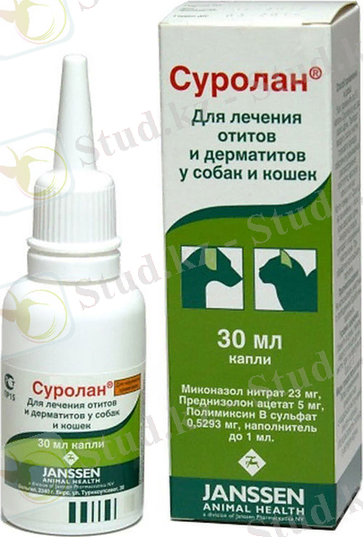 Бағасы 700-ден 1100 рубльге дейін.