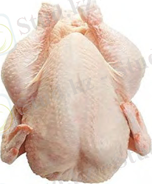 obrabotka-ptitsy.jpg