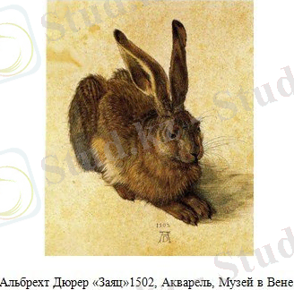 рисунок