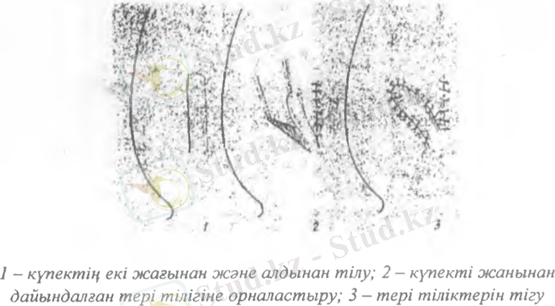 https://skr.sh/i/050520/TOi0ZzYj.png?download=1