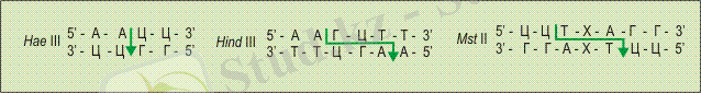 har_065_05.gif