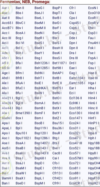 Screenshot_20200304-234549_Chrome.jpg
