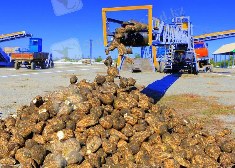 http://old.zhetysu.gov.kz/upload/iblock/28c/12000943_148946742123613_3256969609402257555_o.jpg