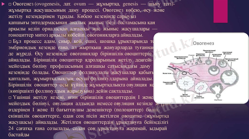 slide-14.jpg