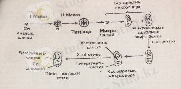C:\Users\ПРИНТ\Desktop\БЛЮТУЗ\guitui.jpg