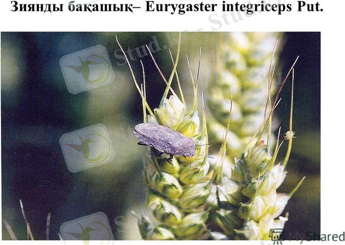 slide_10.jpg