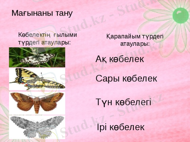 https://fsd.kopilkaurokov.ru/up/html/2017/05/22/k_592314c7a4437/img_user_file_592314c822cb8_13.jpg