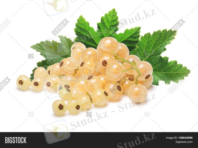 https://static1.bigstockphoto.com/8/3/1/large1500/138843896.jpg