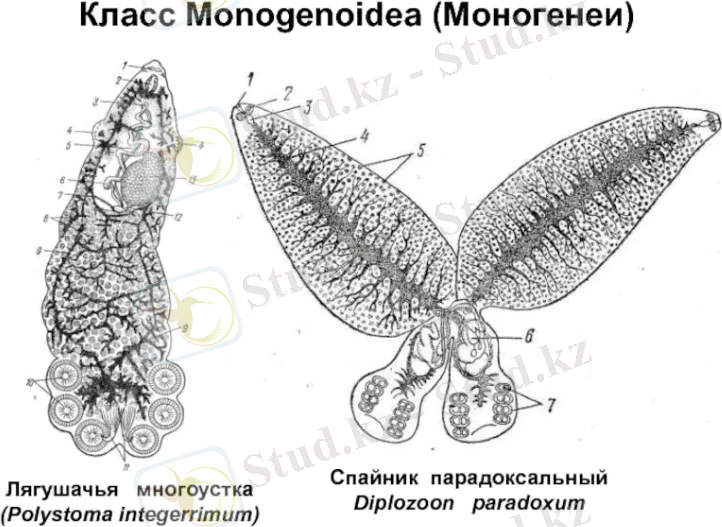 Снимок.PNG