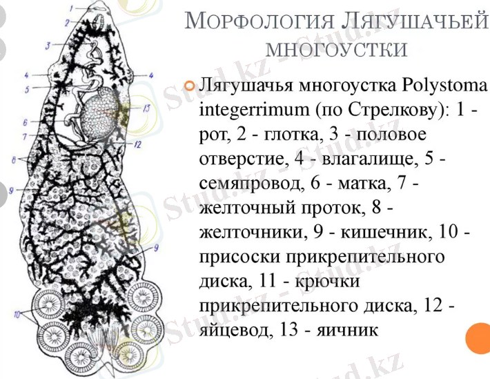 Снимок.PNG
