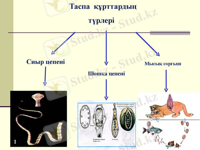 C:\Users\zero01\Desktop\slide-5.jpg