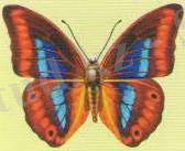 hello_html_153d117e.jpg