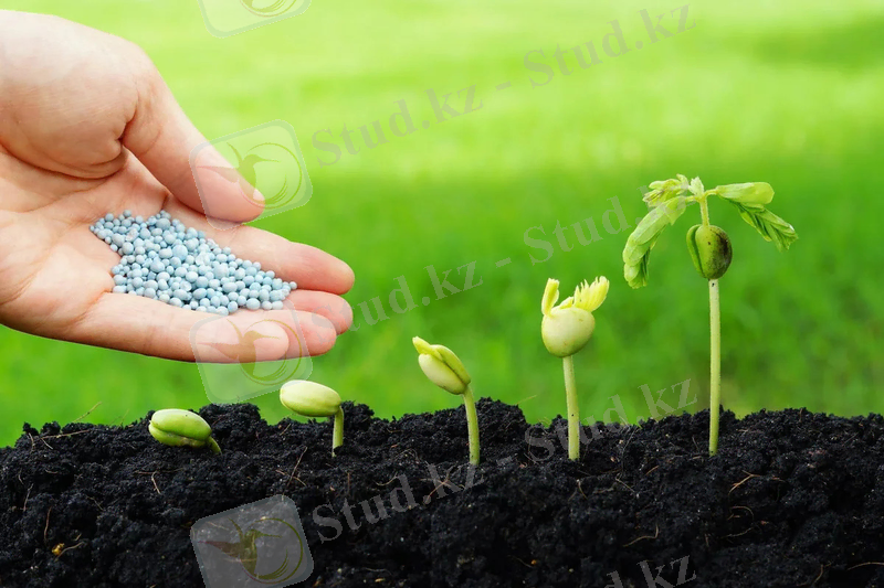 https://heygrowers.ru/wp-content/uploads/2020/12/scale_1200.jpg