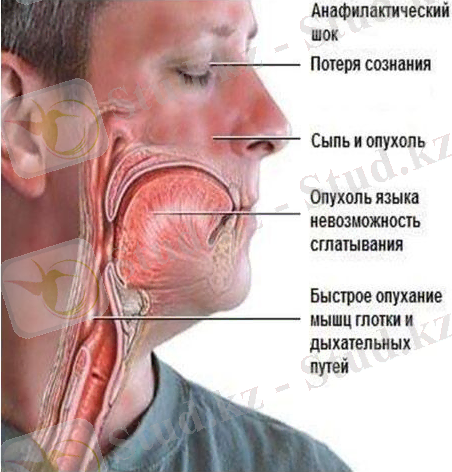 C:\Users\user\Desktop\afinal_shok.jpg