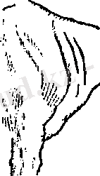 C:\Users\Нураш\Desktop\AppData\Local\Temp\FineReader11\media\image10.png