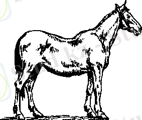 C:\Users\Нураш\Desktop\AppData\Local\Temp\FineReader11\media\image11.png