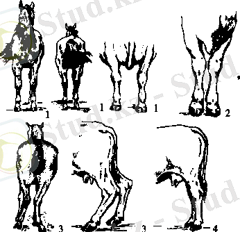 C:\Users\Нураш\Desktop\AppData\Local\Temp\FineReader11\media\image12.png