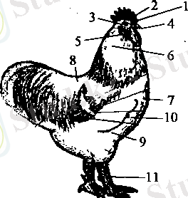C:\Users\Нураш\Desktop\AppData\Local\Temp\FineReader11\media\image5.png