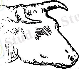 C:\Users\Нураш\Desktop\AppData\Local\Temp\FineReader11\media\image7.png