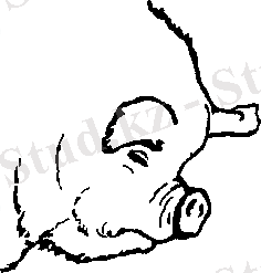 C:\Users\Нураш\Desktop\AppData\Local\Temp\FineReader11\media\image8.png