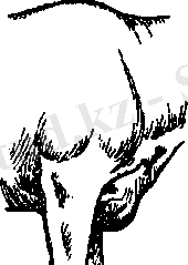 C:\Users\Нураш\Desktop\AppData\Local\Temp\FineReader11\media\image9.png