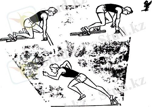 https://netref.ru/abdrahmanov-zikireya-abdrahmanli-docent-armu-cikldi-sport-trle/44261_html_571bd536.png