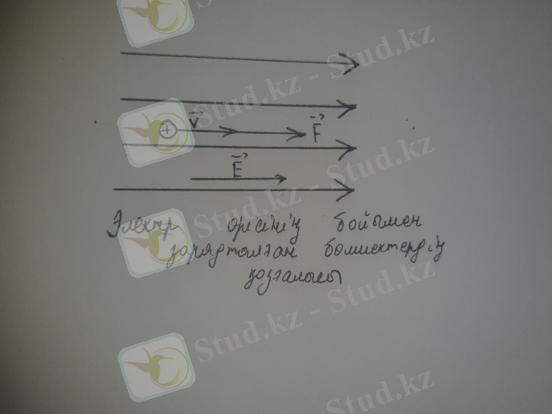 20201204_005225.jpg