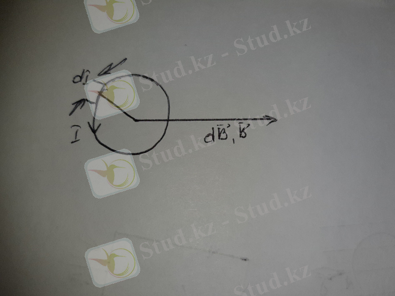 20201204_005809.jpg