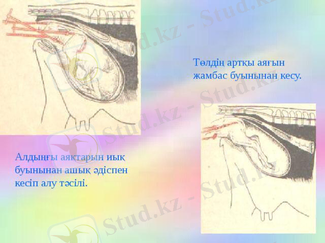 C:\Users\777\Desktop\1a1a35d1-b9cc-4b62-9d91-c931d112d560.jpg