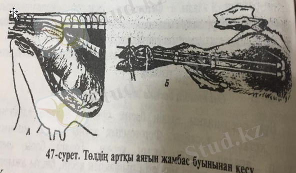 https://skr.sh/i/050521/rx6D5oQd.png?download=1&name=%D0%A1%D0%BA%D1%80%D0%B8%D0%BD%D1%88%D0%BE%D1%82%2005-05-2021%2016:22:12.png