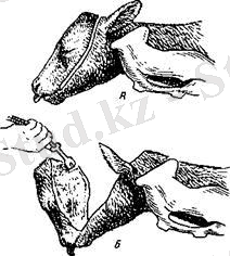 C:\Users\777\Desktop\6ced22cc-ff78-4b19-baaa-d0bbaa3179e4.jpg