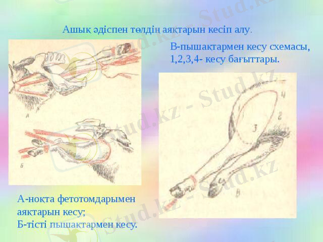 C:\Users\777\Desktop\bad6d5ed-b611-46a6-b8a4-09bbd5a521fe.jpg
