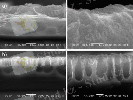 image002.png