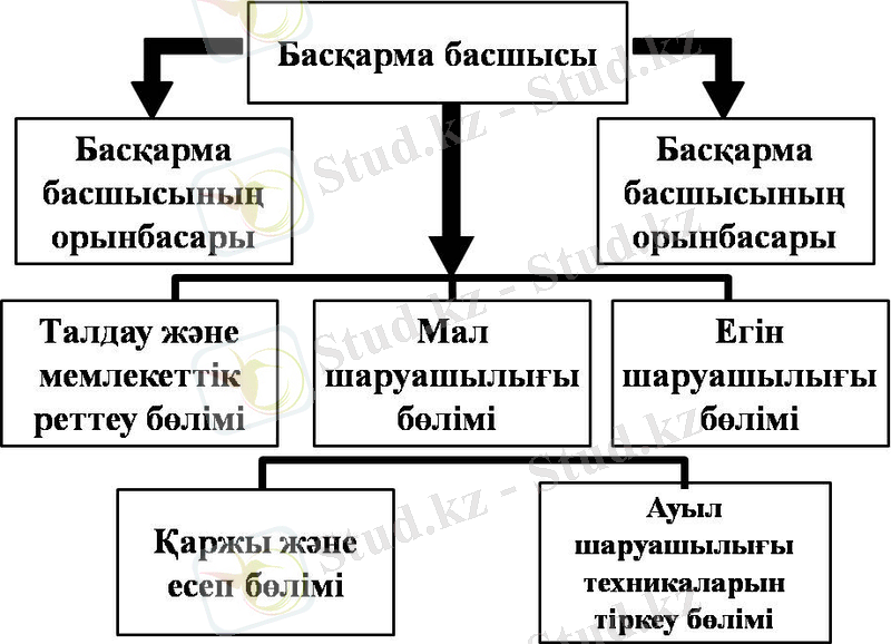 Презентация2.jpg