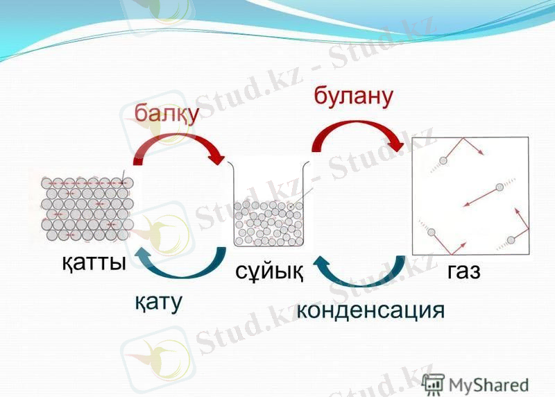 C:\Users\Lazzat\Desktop\slide_7.jpg